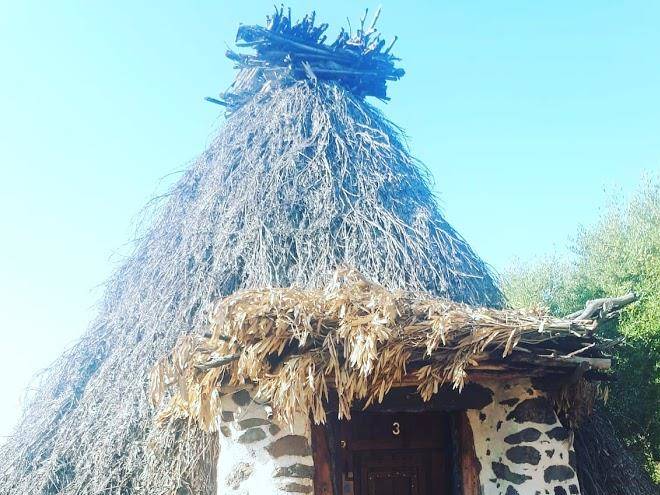 Ovile juanne loddo