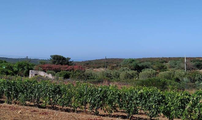 Agriturismo monte pira