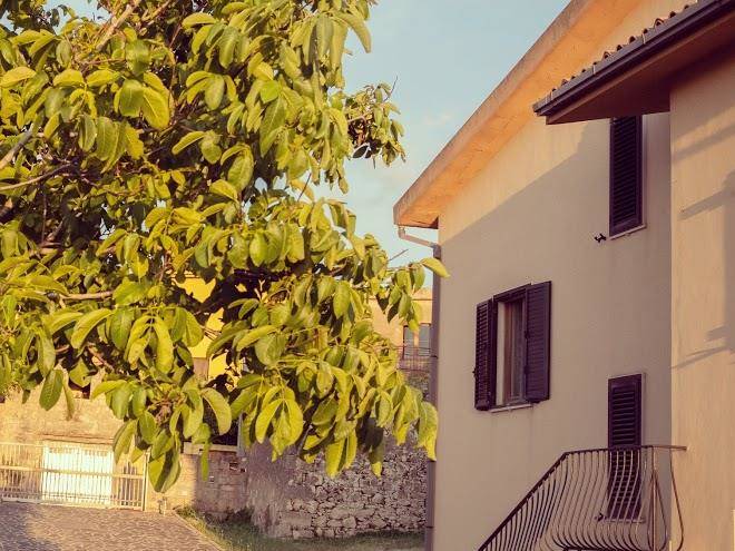 Anima sarda bed&wine