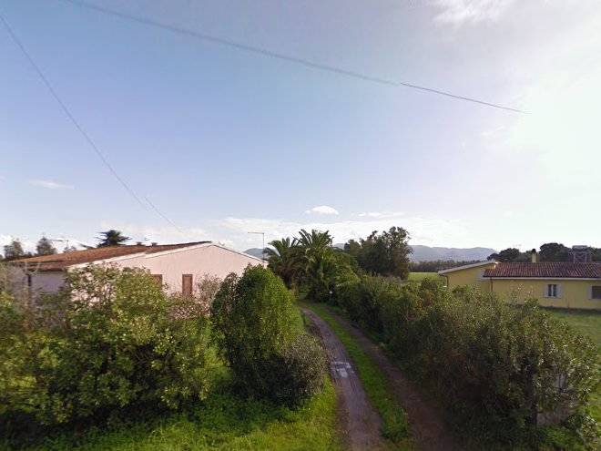 Le bouganville