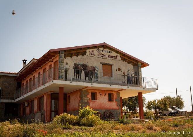 Agriturismo con camere le vigne ducali ristorante