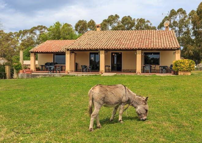 Agriturismo sa mitza e s'orcu
