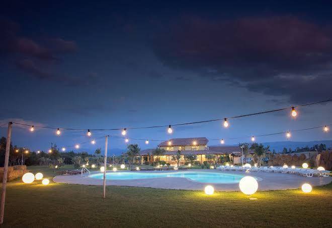 Agriturismo saludi e trigu