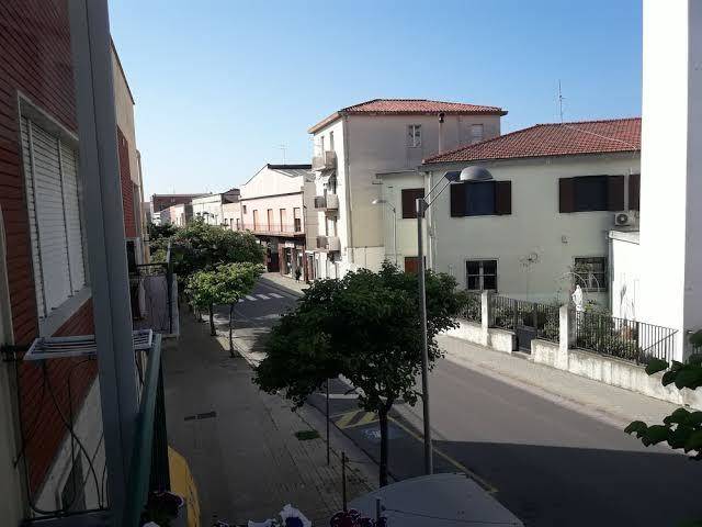 Il melangolo