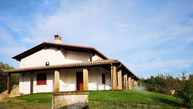 Su carru a boi b&b