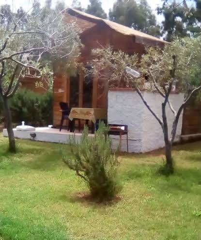 Agriturismo tres montes