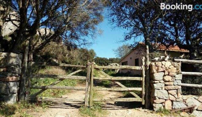 Azienda Agricola Li Nalboni 24 26 Image