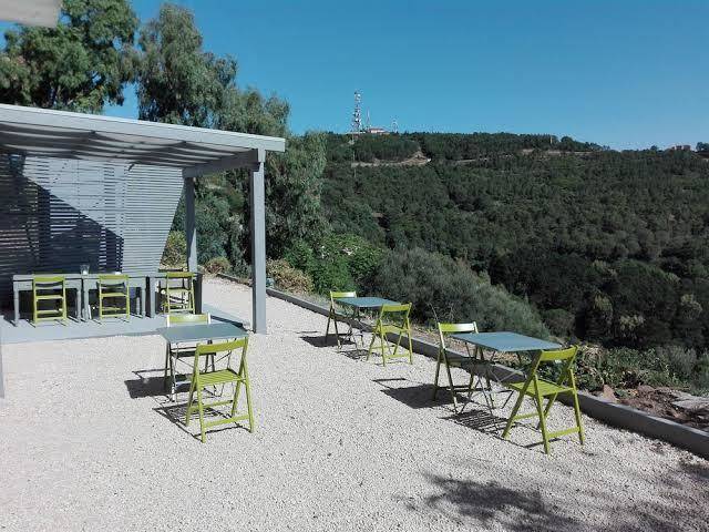 B&b tuffudesuexperience