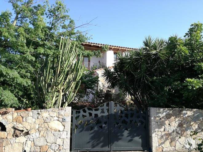 B&b chorisia