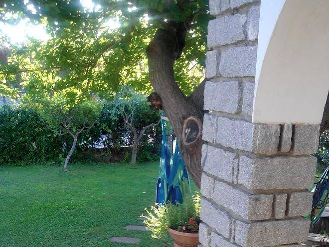 B&b phocea