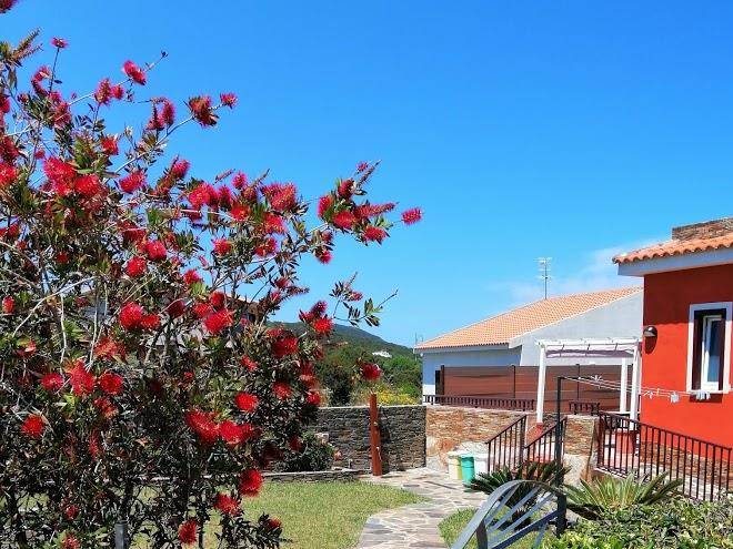 B&b Roccabianca Stintino Image