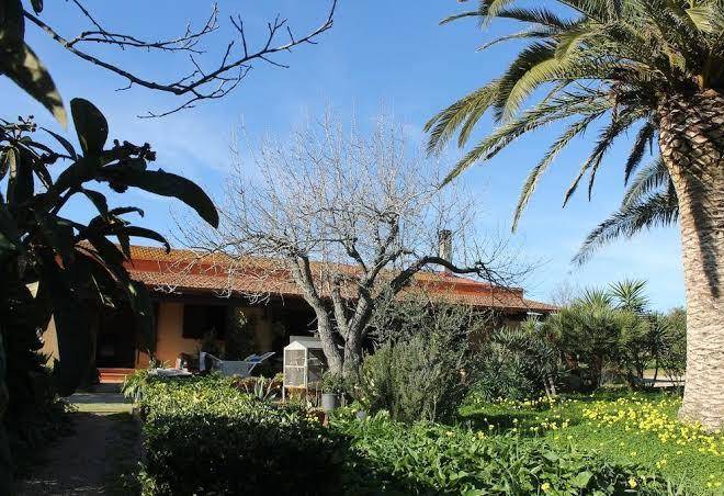 Bed and breakfast il giardino delle palme