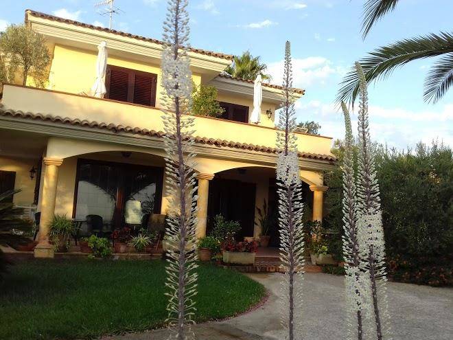 Bed and breakfast stella del golfo