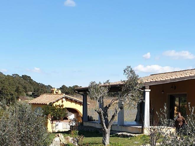 Cantina perandria