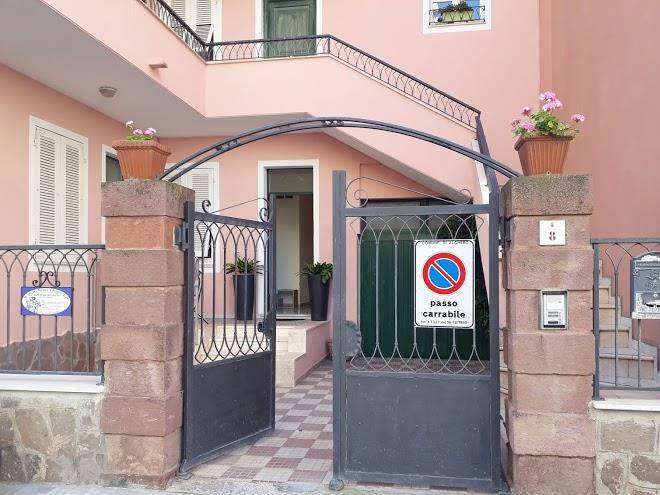 Il giardino degli iris