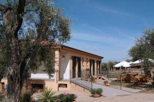 L'olivar