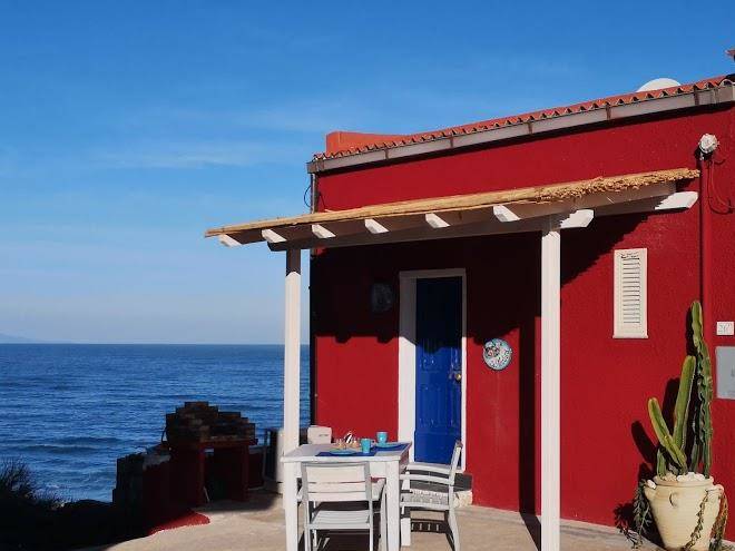 La medusa sardasolemare