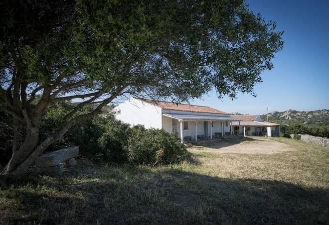 La Tana Di Lu Maccioni Image