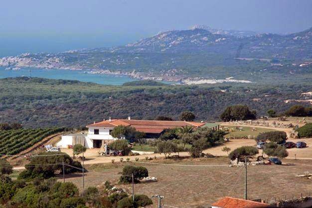 La tegghja