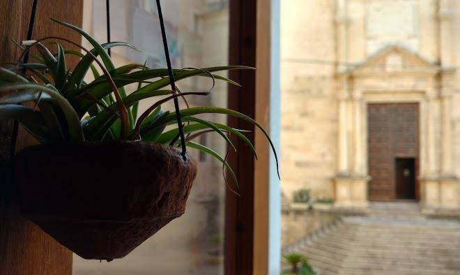 Monna catarina b&b