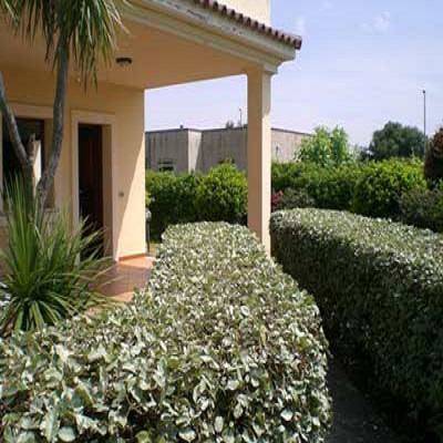 Residence olbia