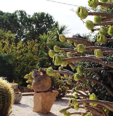 Residence paradiso