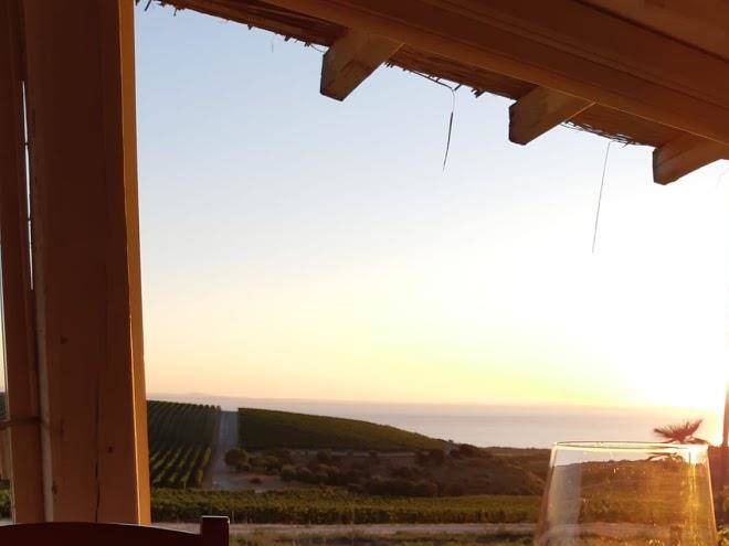 Tenuta asinara srl
