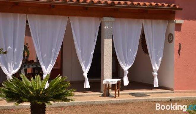 B&b tigrillo