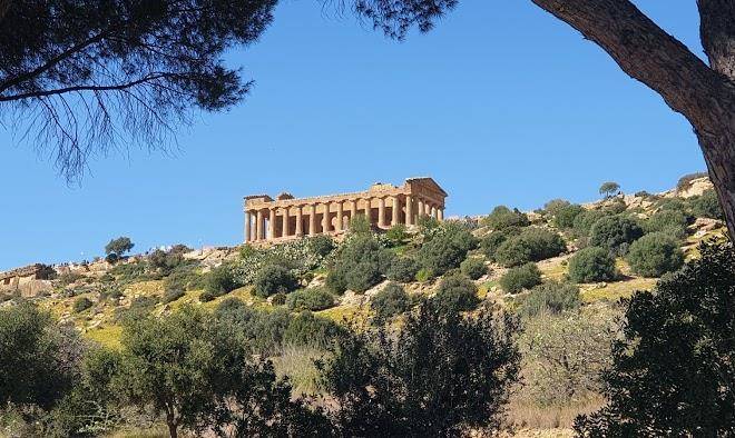Il giardino di athena