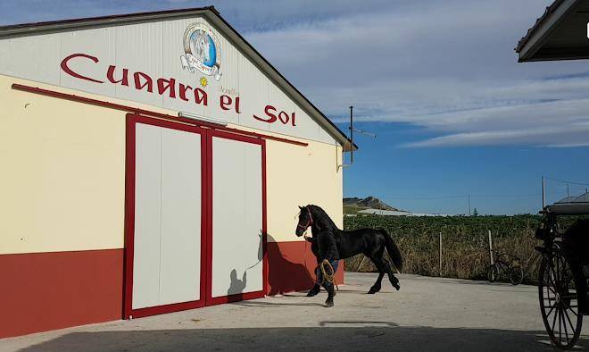 Affitta camere il maneggio