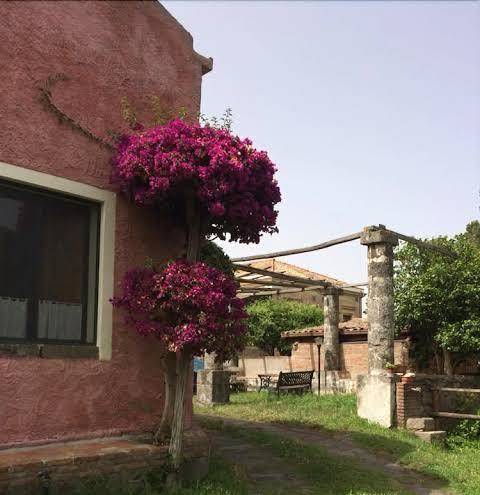 Agriturismo codavolpe angelo scuto