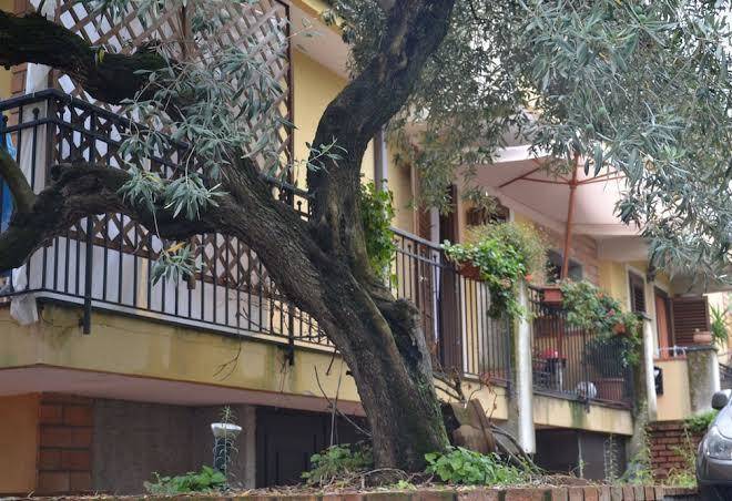 B&b la meridiana albergo hotel dove dormire vicino etna