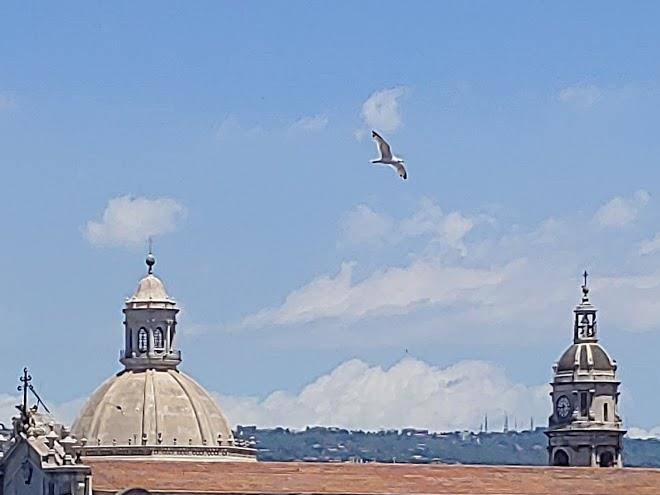B&b palazzo speciale