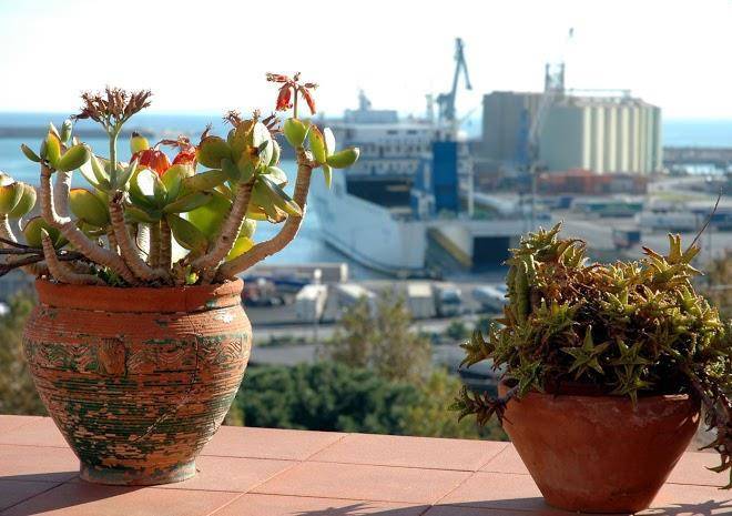 B&b san placido inn