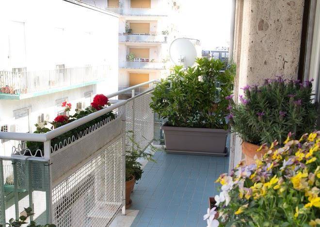 B&b solea catania