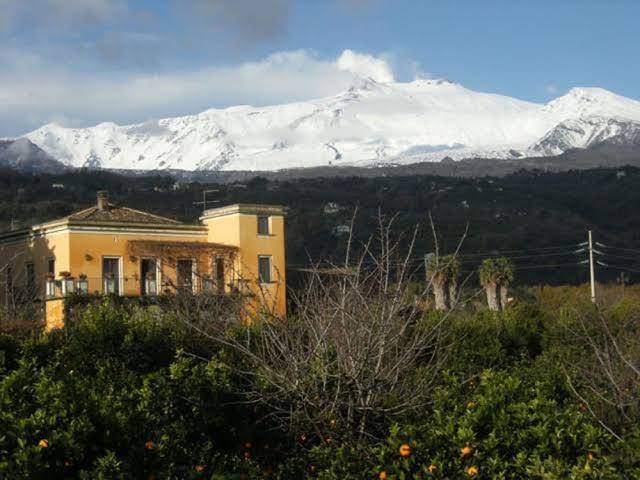 Bed and breakfast baglio delle rose