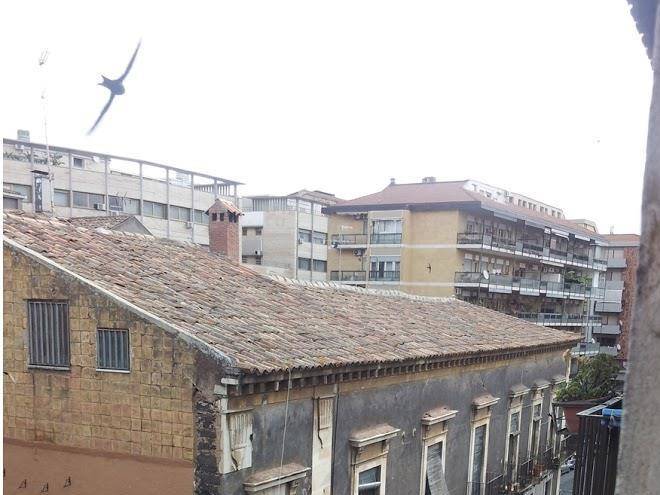 Bed and breakfast faro