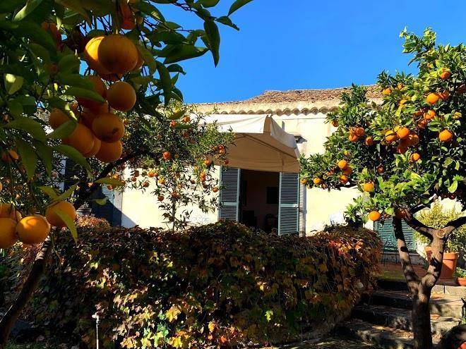 Cucina del sole