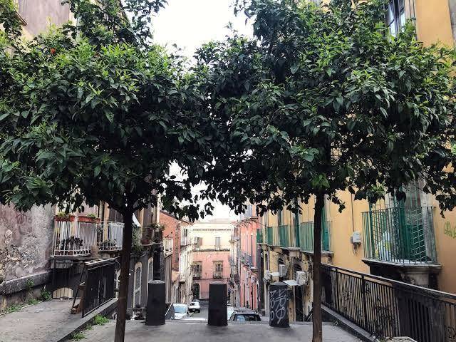 Dimora san camillo