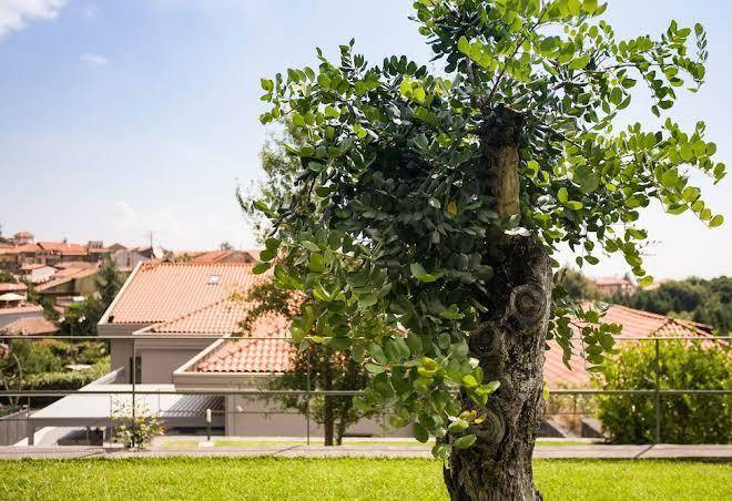 Etna dream b&b