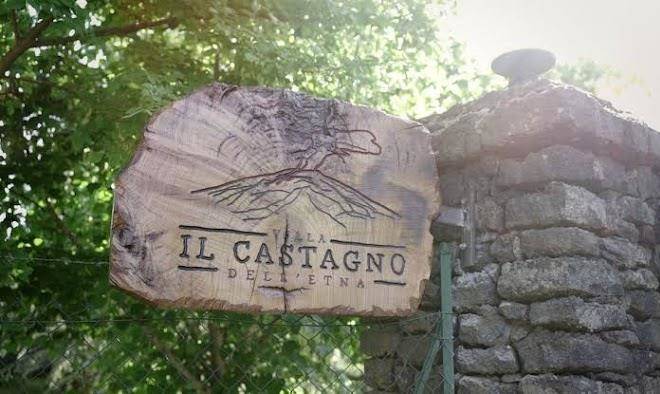 Il castagno dell'etna
