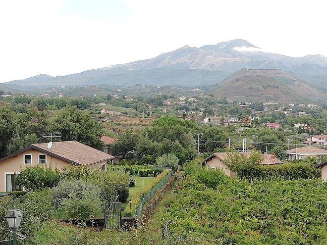 Il gelso di dietroserra