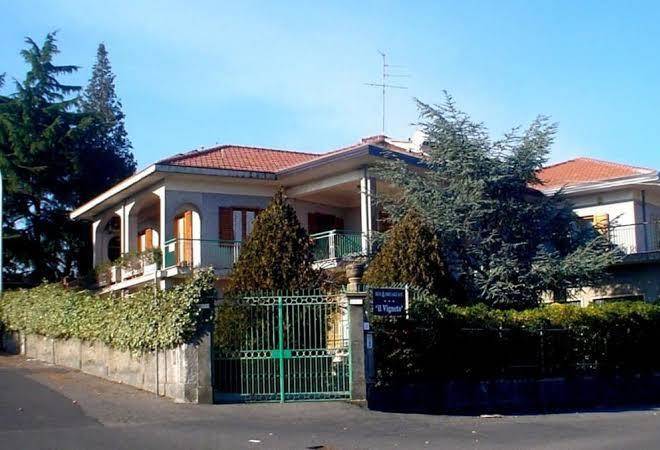 Il vigneto