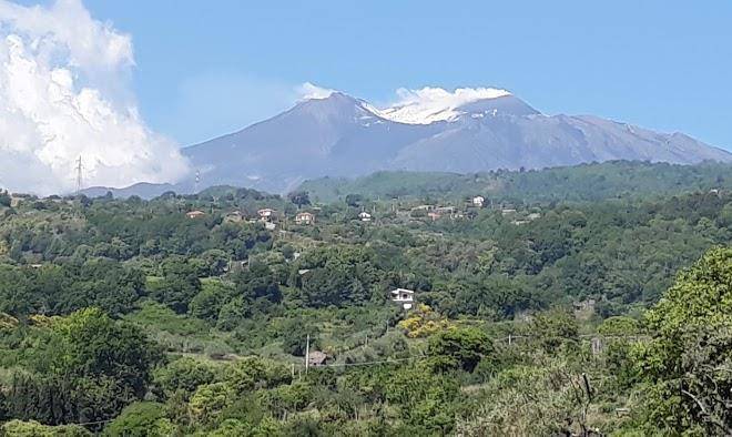 La gardenia dell'etna