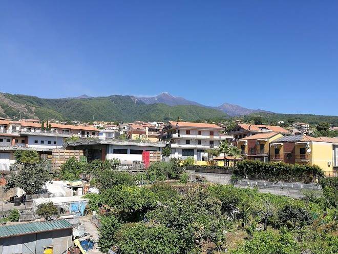 Le tre rose dell'etna
