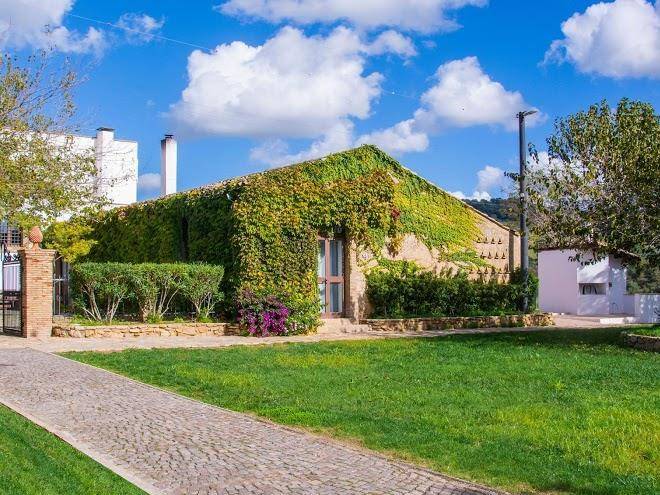 Resort morus alba caltagirone