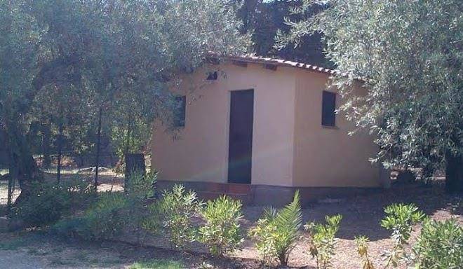Santa lucia