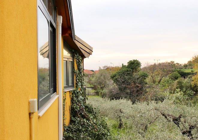 Tenuta passoluca