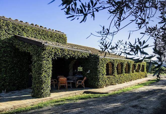 Agriturismo salemi