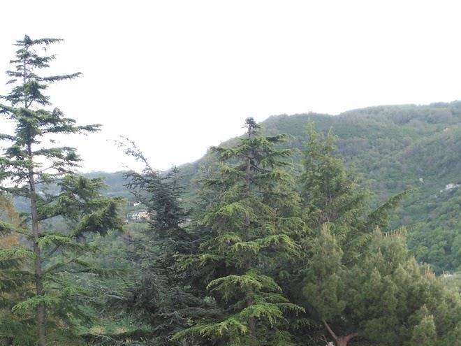 Alloggio madogi